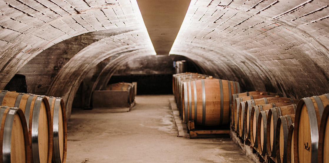 cantina_colli_euganei