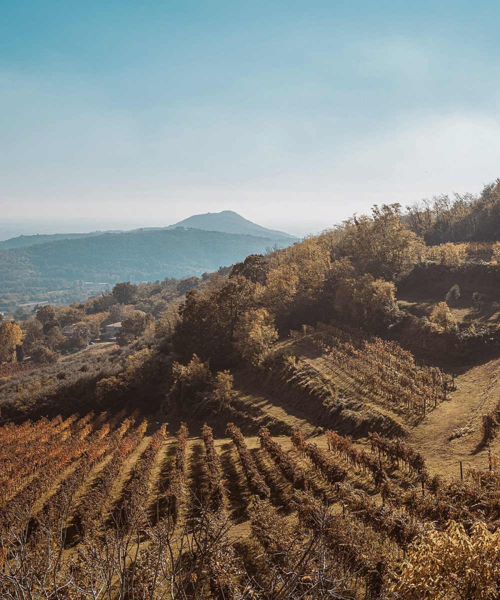 colli eugnei autunno 1