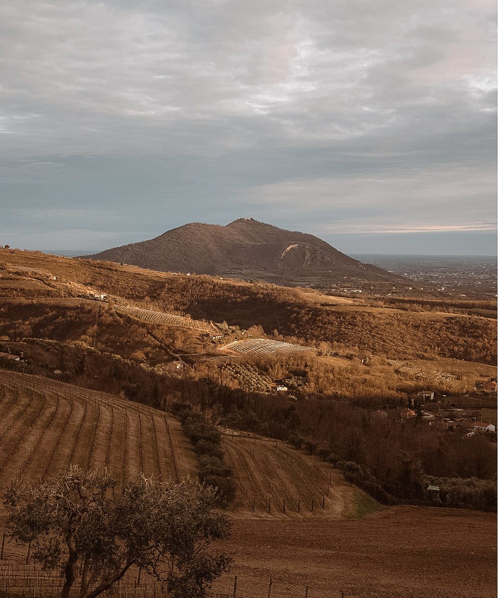 colli eugnei autunno 2