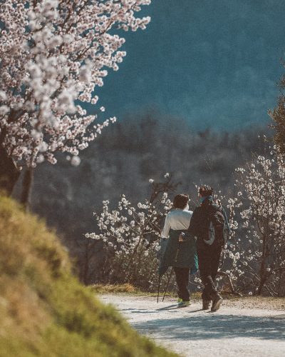 itinerari a piedi colli euganei