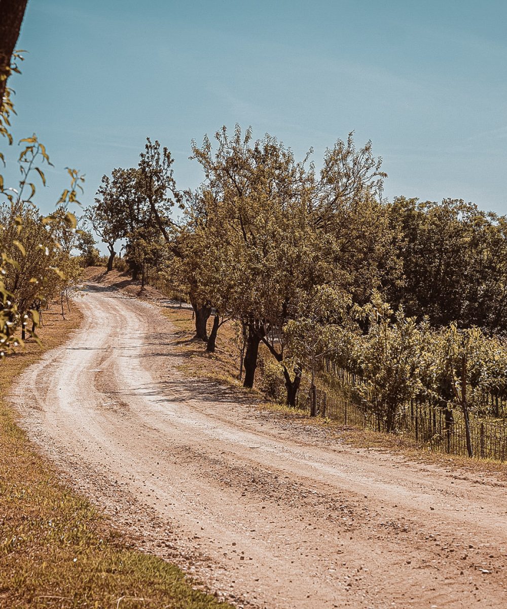 sentieri colli eugenei